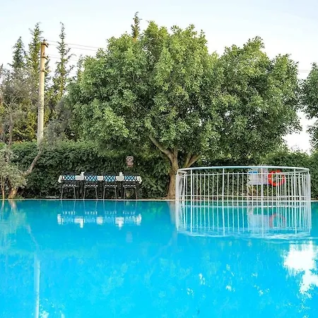 Lykia Premium Concept